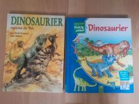 Dinosaurier Kinderwissen richtig schlau ab 2€ Dino Buch Rheinland-Pfalz - Neuwied Vorschau