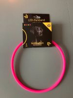 Hunde Leuchthalsband Loesdau pink Obergiesing-Fasangarten - Obergiesing Vorschau