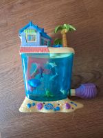 Polly Pocket Dolphine Island Bayern - Mainburg Vorschau