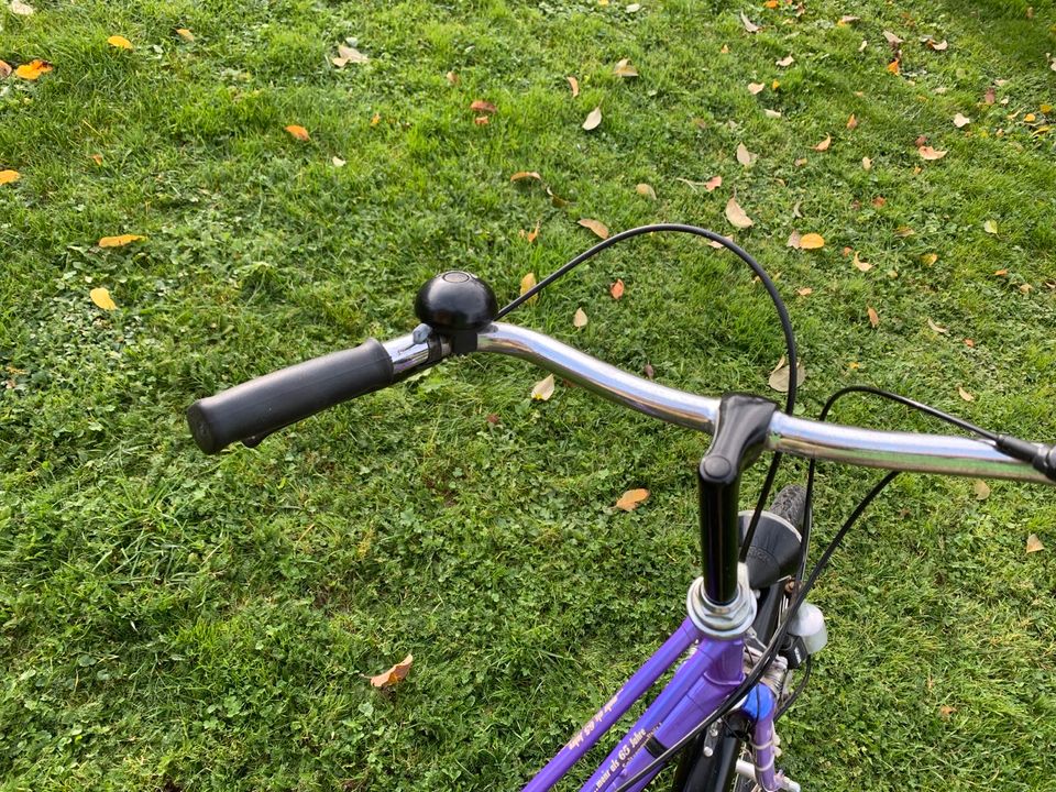 Fahrrad Falter Damen zu 28 Zoll Retro lila scheunenfund in Fichtenau