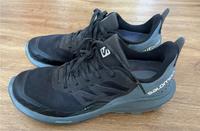 Salomon Wander-/ Trekkingschuh Gore-Tex, Größe 41 1/3 Baden-Württemberg - Endingen Vorschau