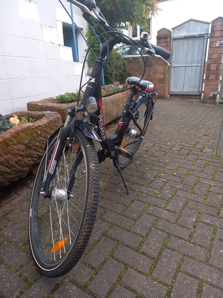 Pegasus Avanti 24 Zoll Jugendfahrrad in Busenberg