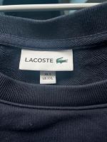 Lacoste Pullover Rostock - Evershagen Vorschau