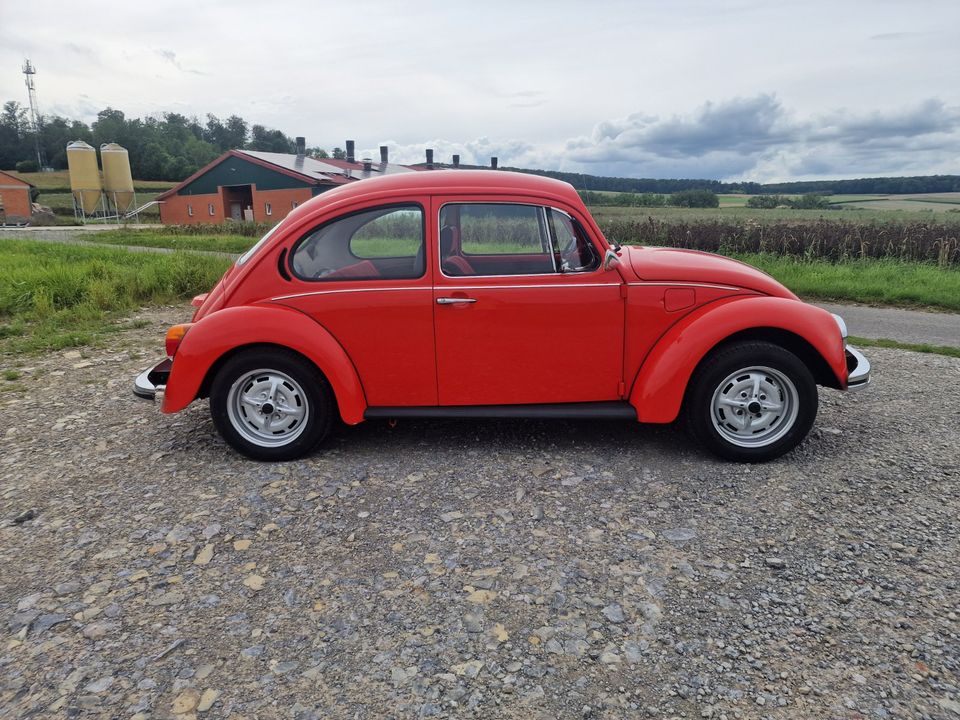 VW Käfer Sondermodel Samtrot 1200 H-Zulassung Liebhaberfahrzeug in Calden