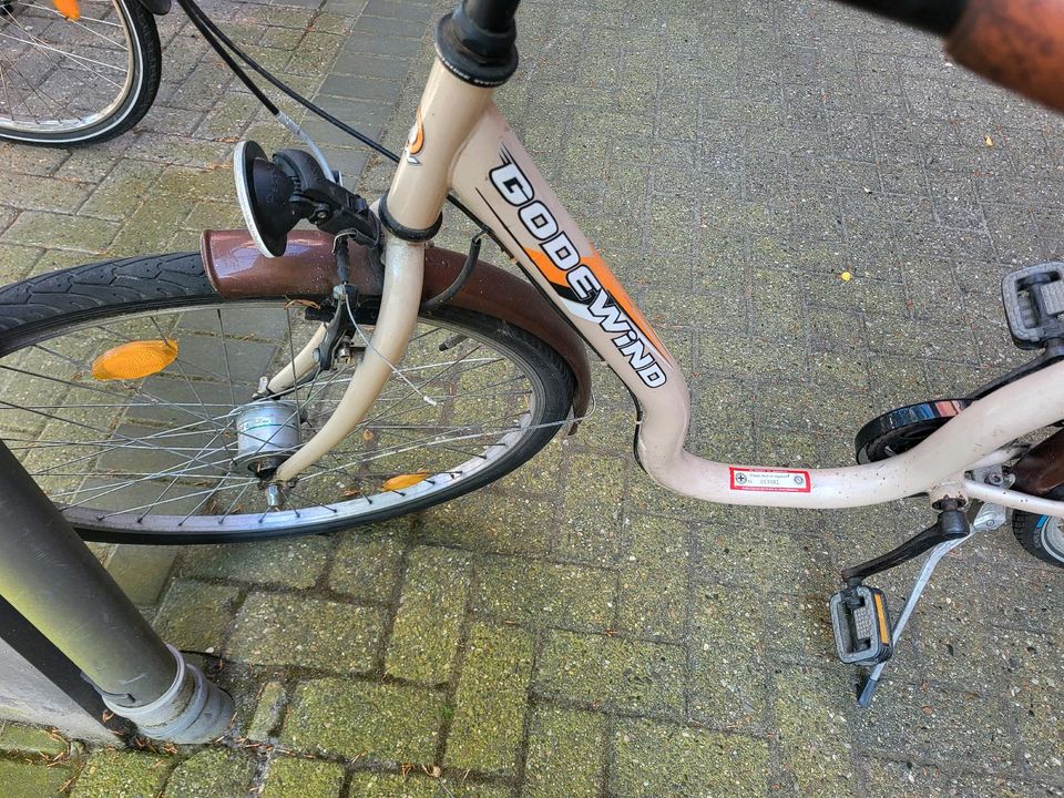 Damen Fahrrad tief einsteiger in Oldenburg