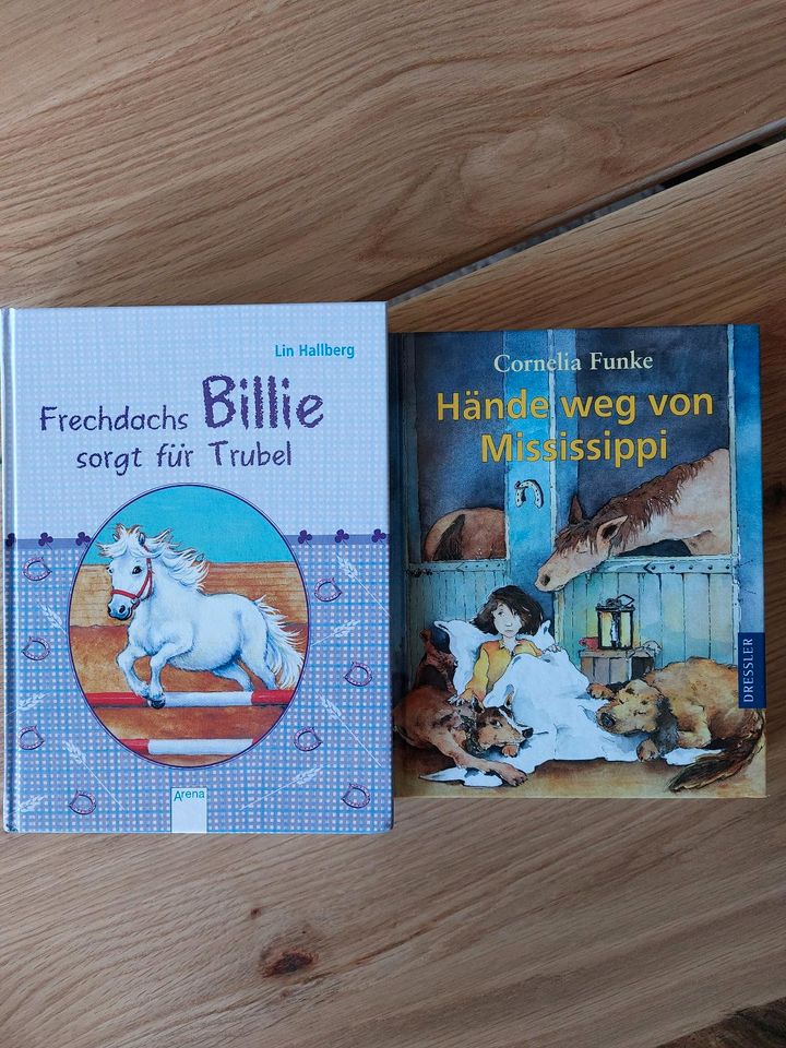 Bücherpaket Geschichten, Romane für Pferdefreunde in Blindheim