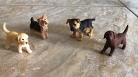 Schleich: Hunde-Welpen je 3€ Hannover - Misburg-Anderten Vorschau