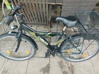 Fahrrad 26 Zoll Delta schwarz grün Nordrhein-Westfalen - Herne Vorschau