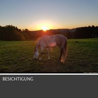 Resthof , Bauernhaus , Bauernhof , Alleinlage mit Weiden !! Nordrhein-Westfalen - Kierspe Vorschau