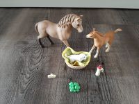 Schleich Horse Club 42432 - Sarahs Tierbaby-Pflege Niedersachsen - Bevern Vorschau