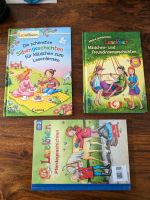 Leselöwen Geschichten / Kinderbuch / Silbengeschichten Sachsen - Wittgensdorf Vorschau
