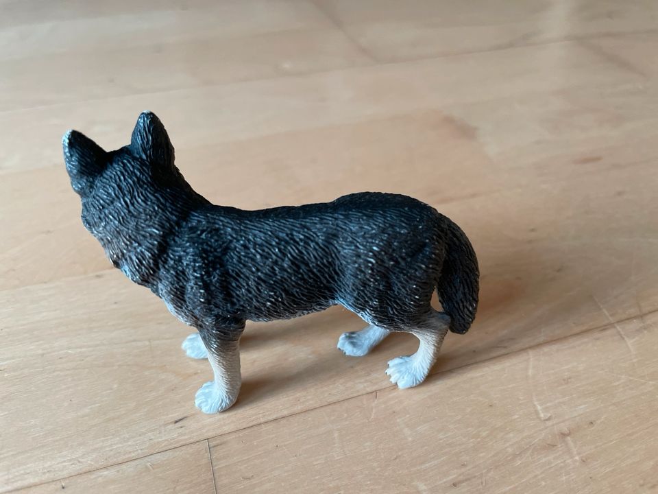 Schleich Wolf in Braunschweig