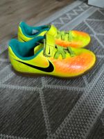 Hallenschuhe/ Sportschuhe / Kinderschuhe Nike Gr. 29,5 Niedersachsen - Bückeburg Vorschau