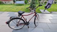 28er Fahrrad  zu verkaufen Sachsen-Anhalt - Bad Duerrenberg Vorschau