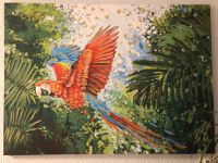 Papagei im Urwald- Bild, Kunstdruck Rheinland-Pfalz - Idar-Oberstein Vorschau