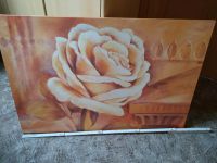 Bild Kunstdruck Rose Brandenburg - Herzberg/Elster Vorschau