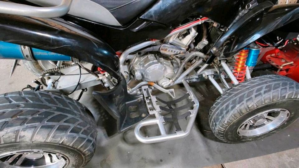 Quad ATV mit Schneepflug Seilwinde LTO Batterie in Stamsried