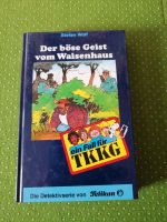 TKKG Der böse Geist vom Waisenhaus - Kinderkrimi Brandenburg - Nennhausen Vorschau