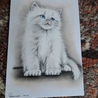 schöne Katze Bild handgemalt signiert Brandenburg - Lauchhammer Vorschau