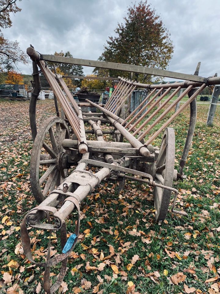 Großer Leiterwagen zu verkaufen in Neustadt an der Orla