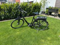 Hercules Roberta E-Bike Damen Tiefeinsteiger Bosch 400 Wh Münster (Westfalen) - Wolbeck Vorschau