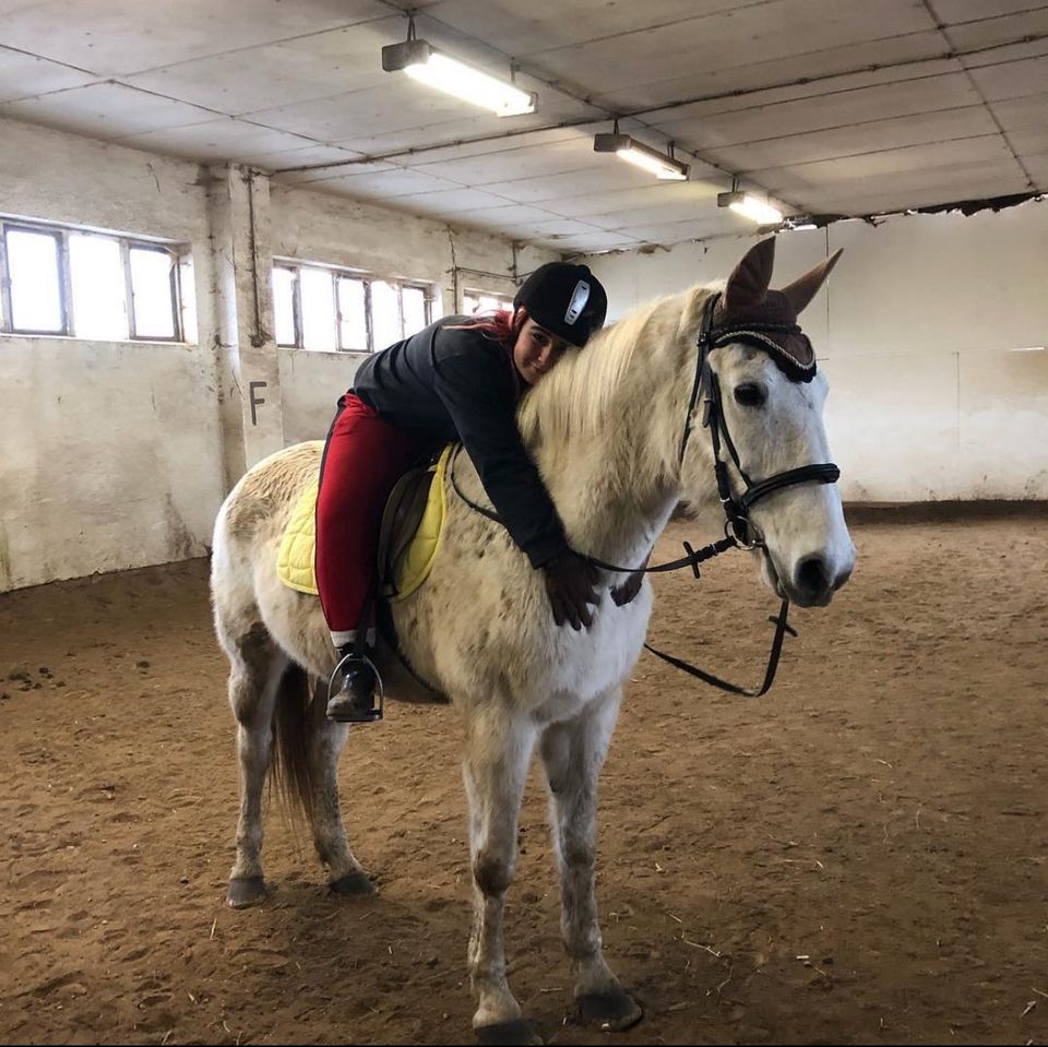 Reiter sucht Pferd in Leipzig