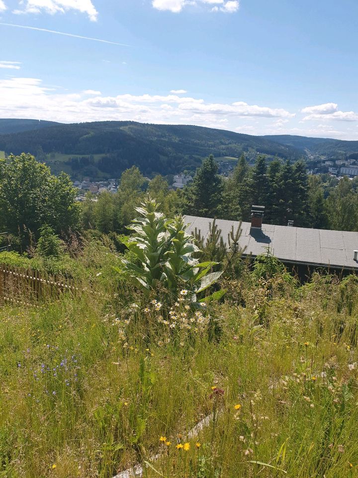 Erholungsgarten in Klingenthal Pachtgarten in Plauen