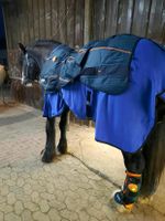 BEMER Horse Set zu vermieten Schleswig-Holstein - Großsolt Vorschau