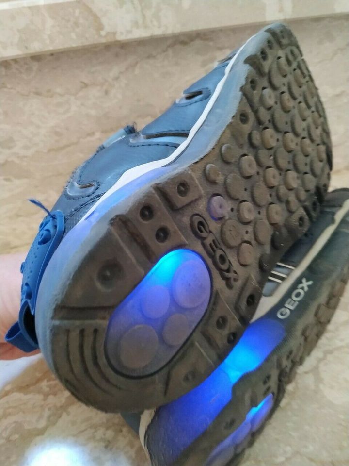 GEOX Android Schuhe Blinkies Blinkschuhe, Gr. 29 in Rodgau