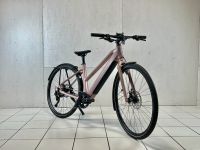 NEU Riese & Müller, UBN Seven touring, 45cm, rose Hessen - Kelkheim Vorschau