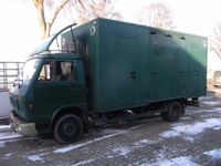 Pferdetransporter LKW, MAN, ideal für Wohnmobil, etc. Niedersachsen - Sittensen Vorschau