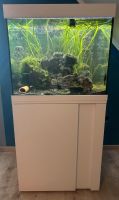 Aquarium Eheim Vivaline 150 komplett weiß Nordrhein-Westfalen - Nümbrecht Vorschau