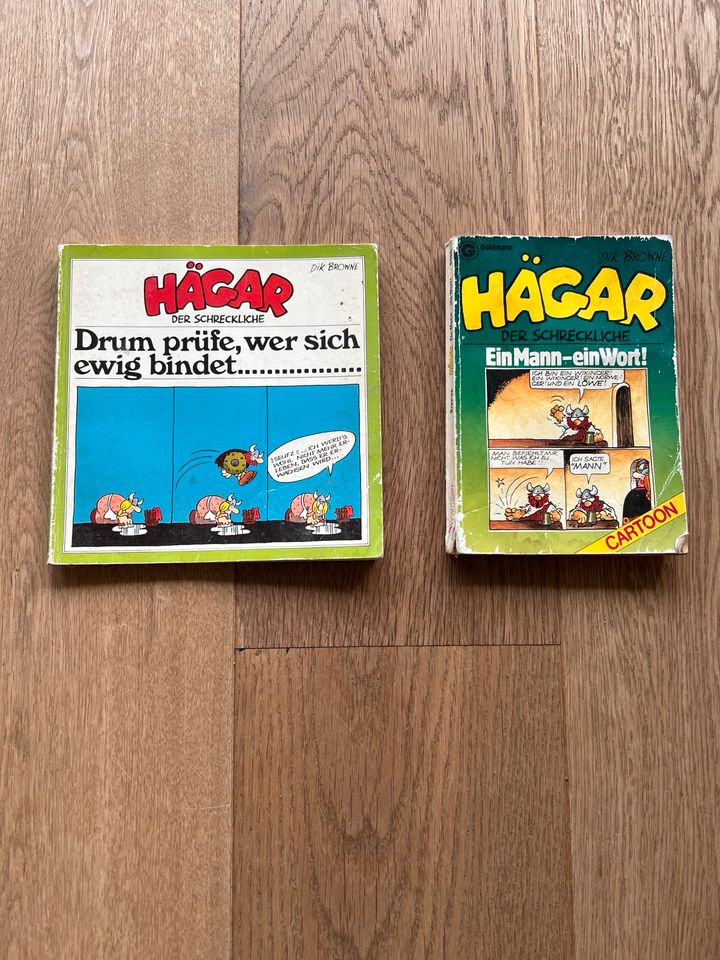 Hägar Comic in Meckenheim