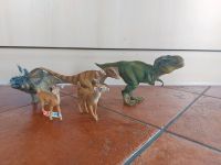 Schleich Tiere mit Handicap Dinosaurier Bayern - Rehau Vorschau