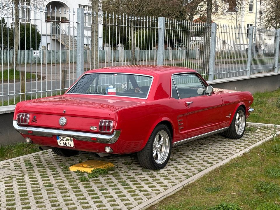 Ford Mustang, BJ 1966, Automatik, H-Kennzeichen, technisch top in Güstrow