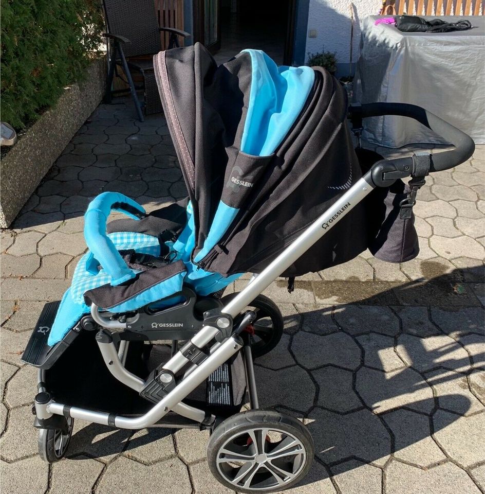 Gesslein F6 Air+ Kinderwagen in Berg