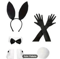 NEUE sexy Hase, rabbit party kostüme fasching usw Hamburg-Mitte - Hamburg Borgfelde Vorschau
