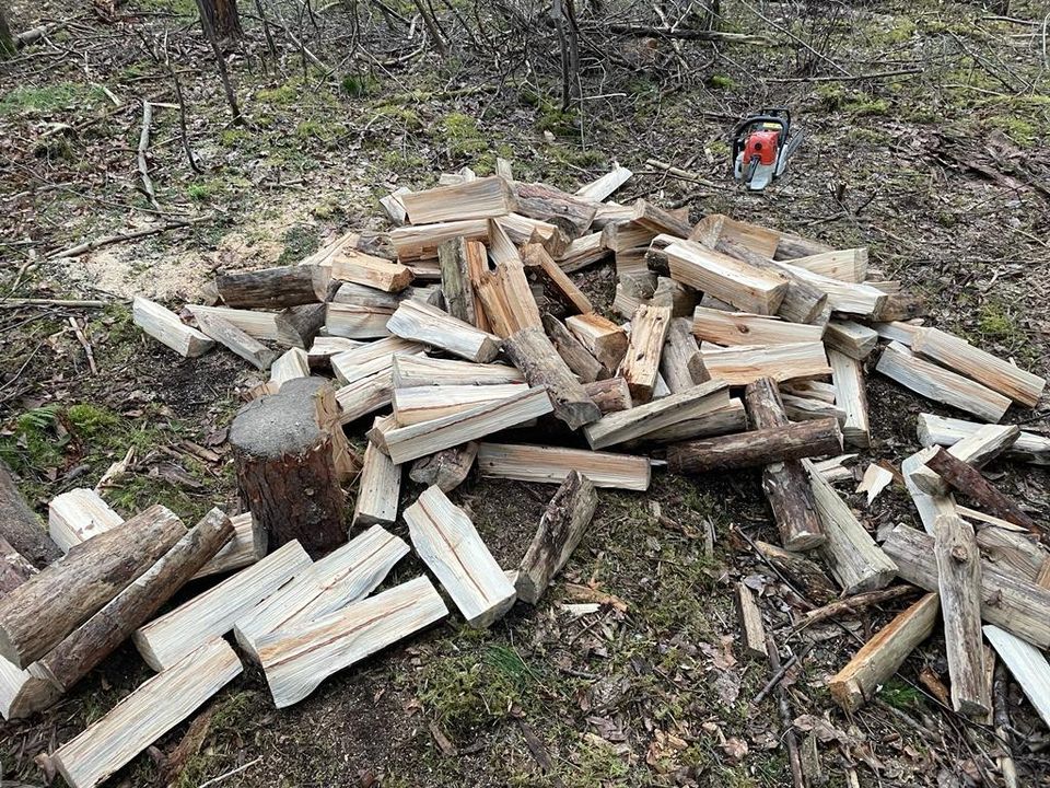 Überschüssiges Brennholz abzugeben in Bad Schönborn