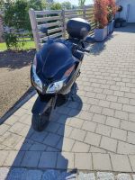 Honda Forza 300 ccm mit TomTom Navi Baden-Württemberg - Bad Wurzach Vorschau