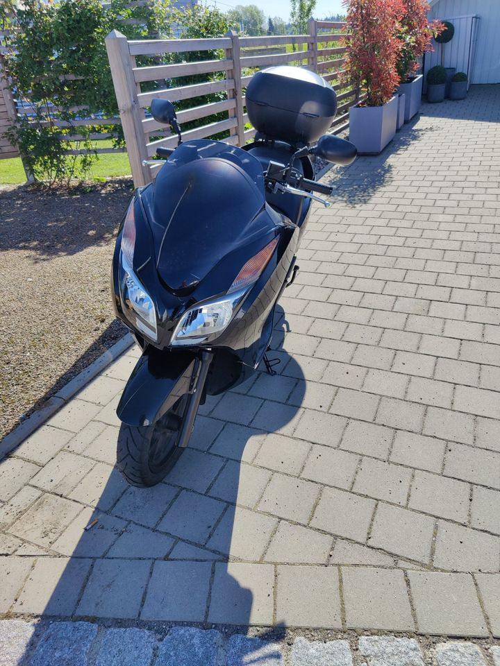 Honda Forza 300 ccm mit TomTom Navi in Bad Wurzach