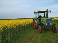 Fendt Farmer 304 LS Bonn - Beuel Vorschau