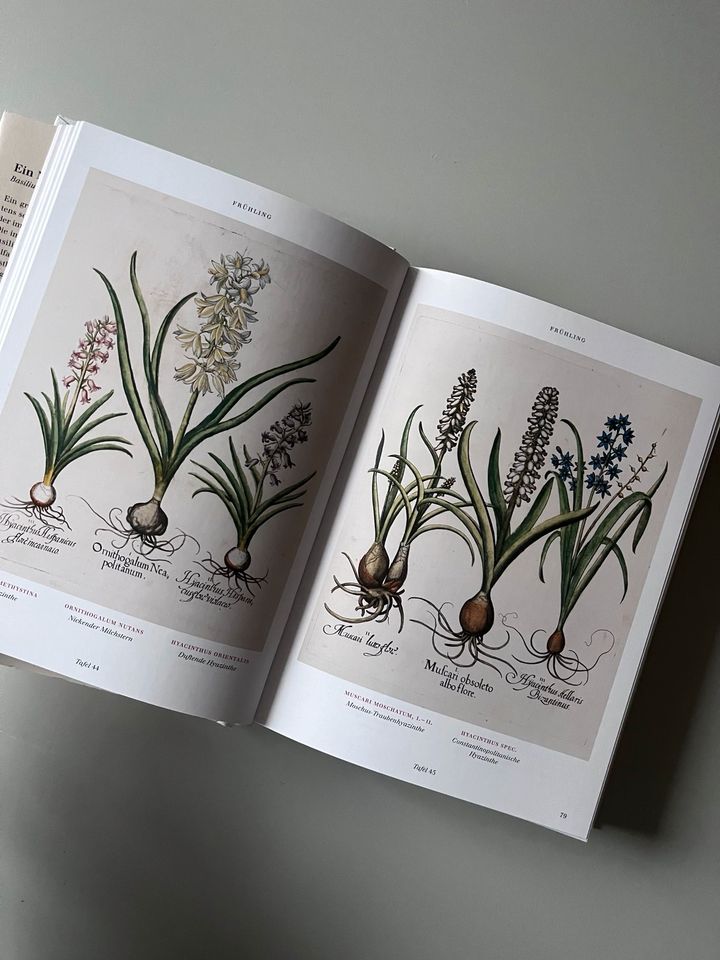 Der Garten von Eichstätt // Taschenverlag // Botanik Blumen in Potsdam