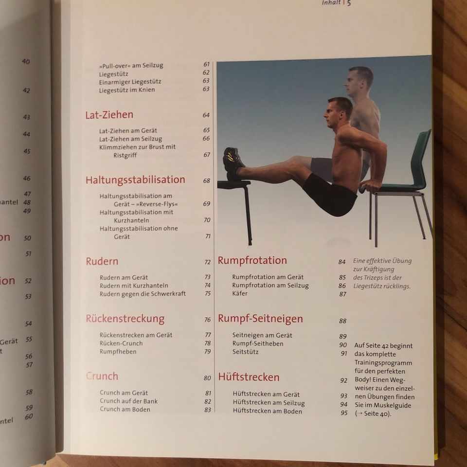 Buch MUSKELN Anatomie & Training Sport Fitness kraftsport in Pettstadt