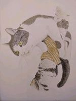 Tierportraits gezeichnet Haustier,  Hund,  Katze, Vogel Thüringen - Kahla Vorschau