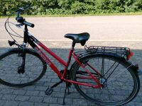 Marken Fahrrad "Göricke" 28 Zoll mit 7 Gang *Nexus *Schaltung Nordrhein-Westfalen - Höxter Vorschau