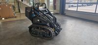 Skidsteer Lader | Dumper | Cast Worky Trax 21HF Niedersachsen - Bad Rothenfelde Vorschau