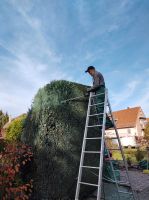 Angebot : Gartenpflege,Heckenpflege,Baumpflege,Grundstückspflege Hannover - Nord Vorschau