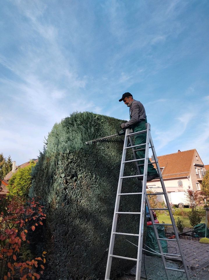 Angebot : Gartenpflege,Heckenpflege,Baumpflege,Grundstückspflege in Hannover