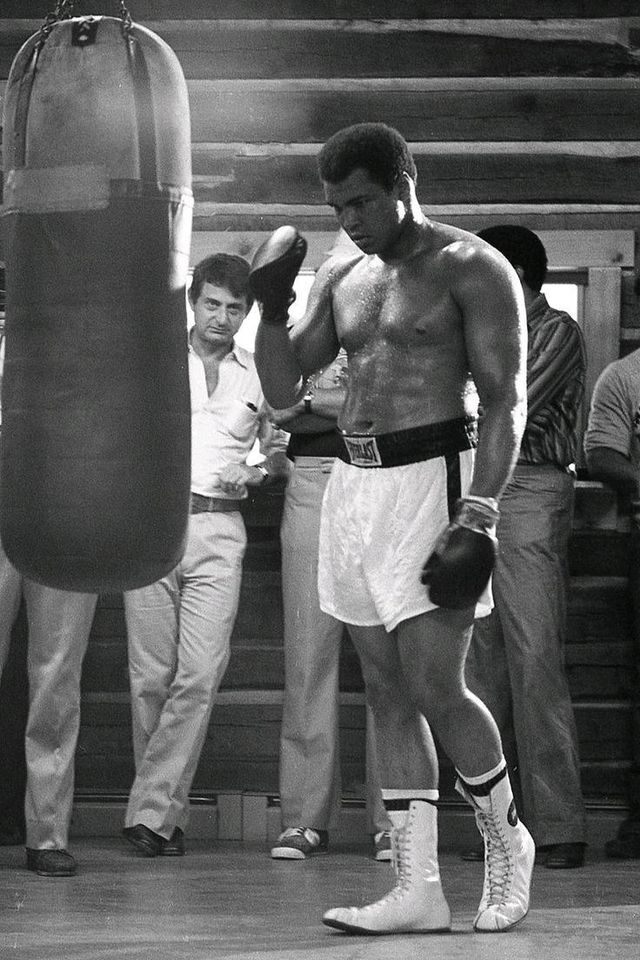 Mohammed Ali / Bilder in Salzhemmendorf