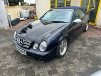 CLK W208 230K Cabrio Schlachtfest Nordrhein-Westfalen - Bad Lippspringe Vorschau